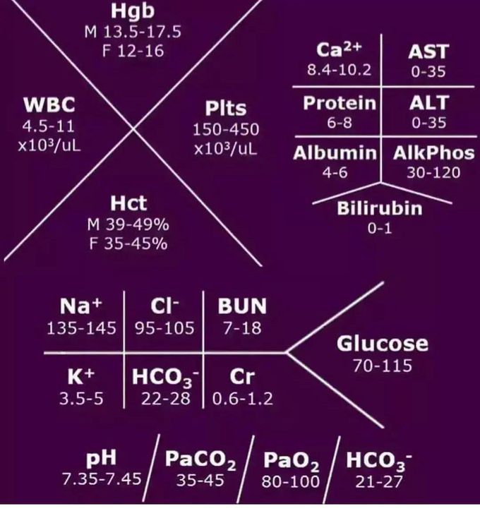 Normal Lab Values