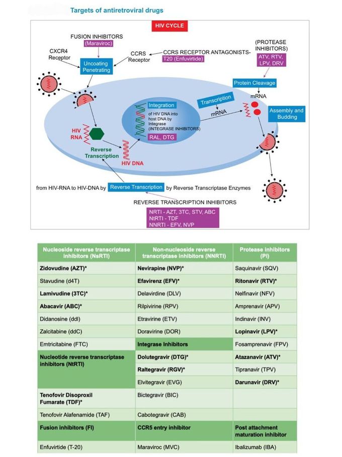 HIV - Antiretroviral Therapy II