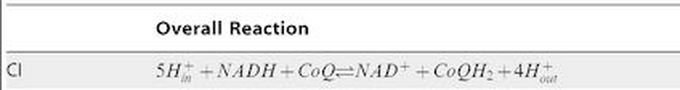 Electron transport chain