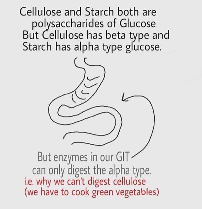 Did you knew this?