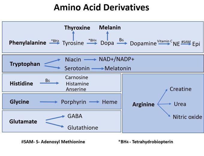 Amino acids