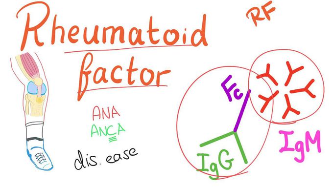 Rheumatoid Factor (RF) | Rheumatoid Arthritis
