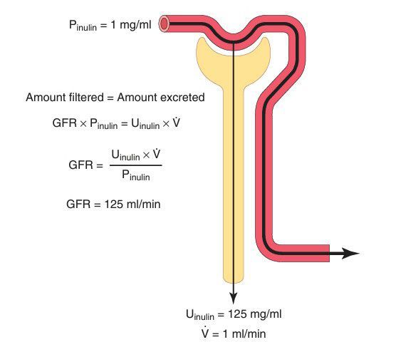 ipamorelin gfr Buy difference between tesamorelin and ipamorelin