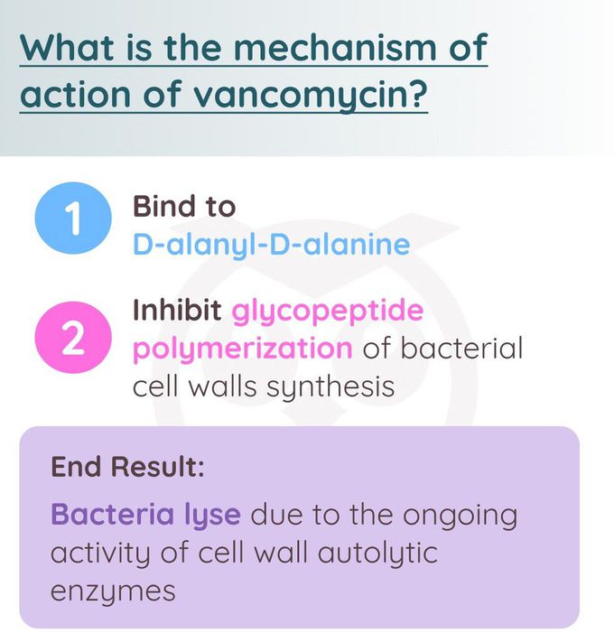 Vancomycin III