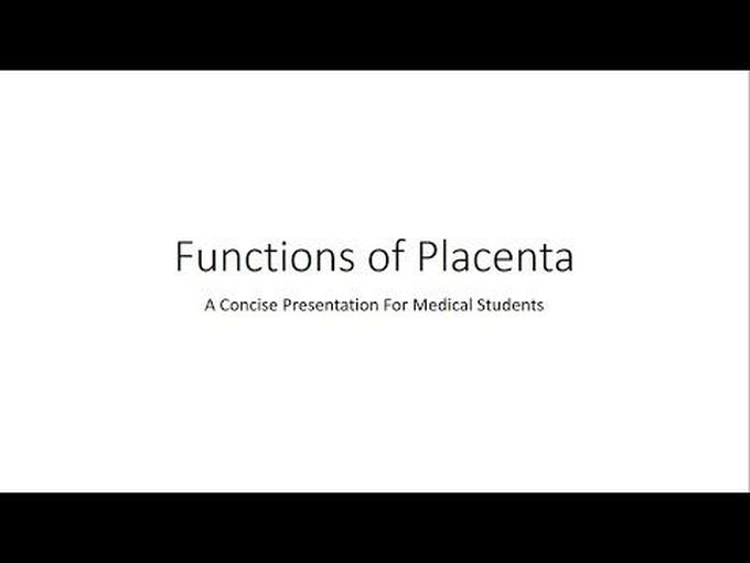 Functions of placenta