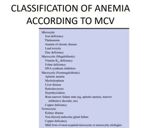 Anemia According To Mcv Medizzy 6398