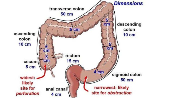 General surgery