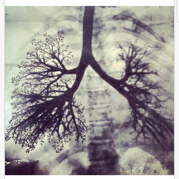 Tree of life ❤ ..