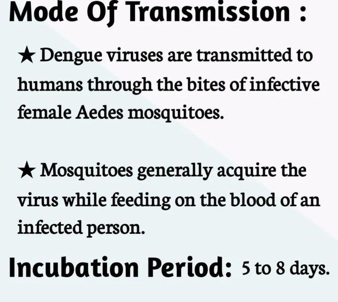 Dengue Fever-Mode of Transmission