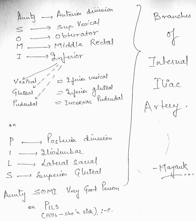 Internal Iliac Artery