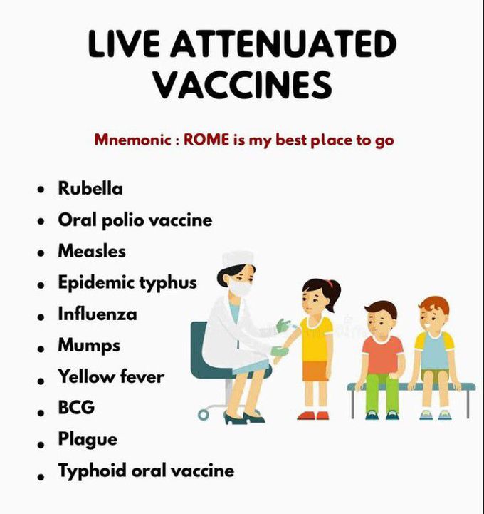 Live Attenuated Vaccines