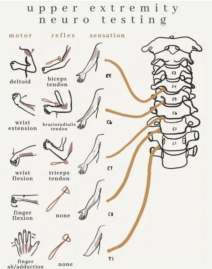 Upper Extremity Neuro-Testing