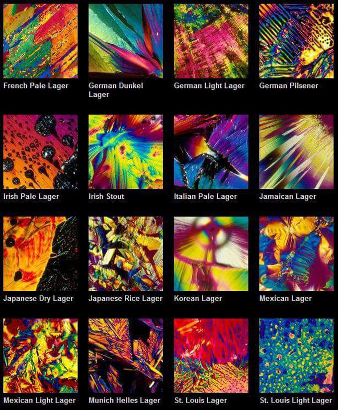Beer micrographs