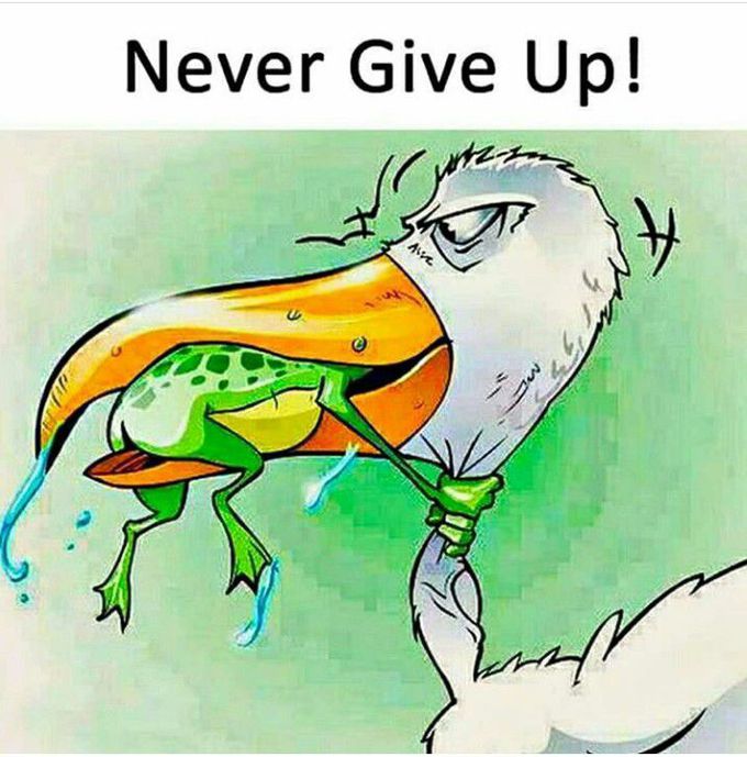 Never give up.....