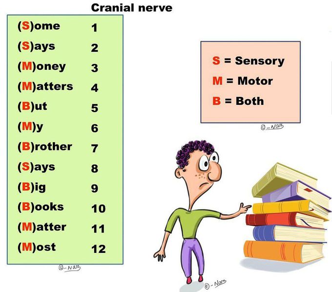 Memonics of cranial nerves