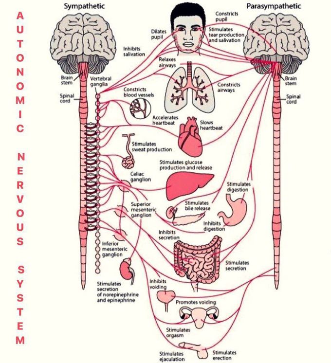 Innervations 😊❣️