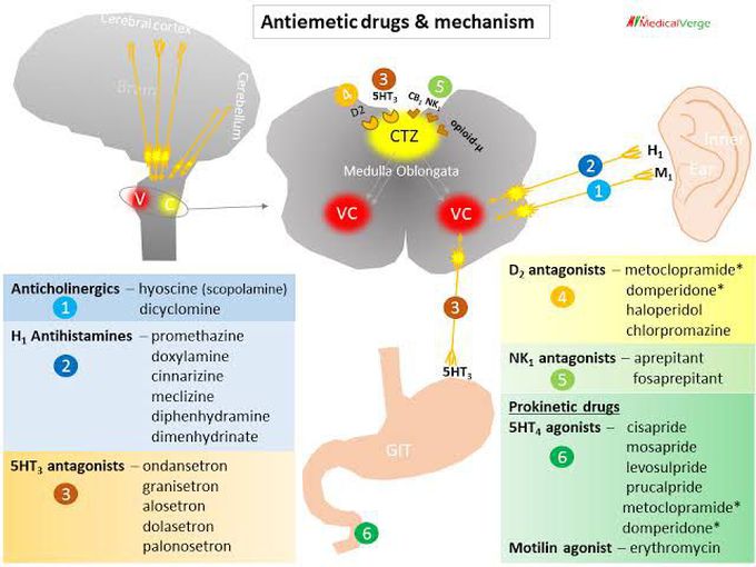 Anti-emetic Drugs mechanism of action