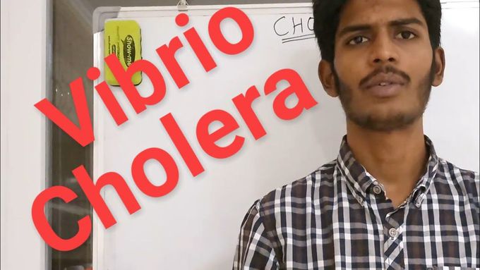Vibrio Cholera