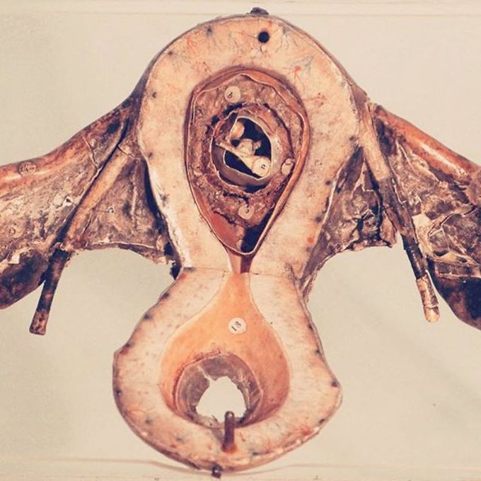 A historical model of a pregnant uterus
