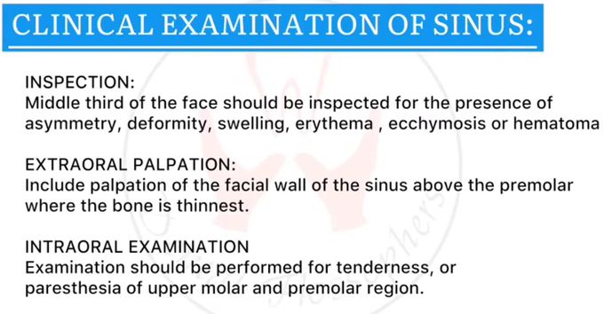 Maxillary Sinus -Examination