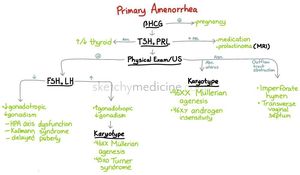 Primary Amenorrhea Workup Dd Medizzy