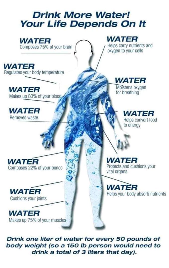 importance of water for our body MEDizzy