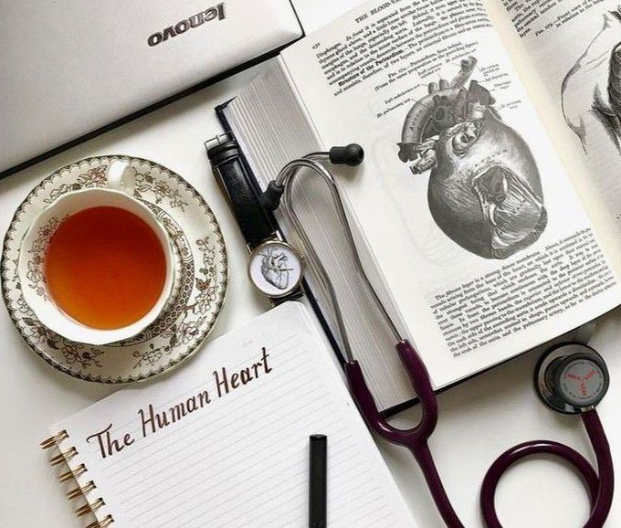 The Human Heart