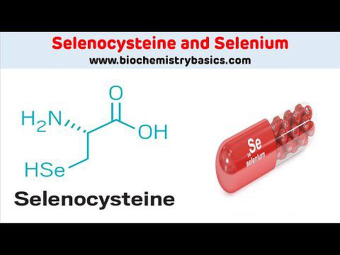 Biochemistry of Selenium