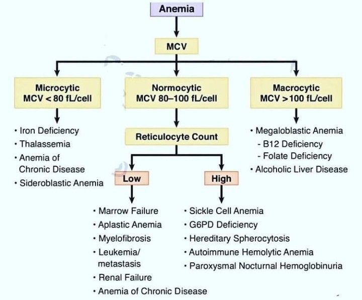 Anemia Medizzy 8613