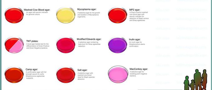 Types of agar.