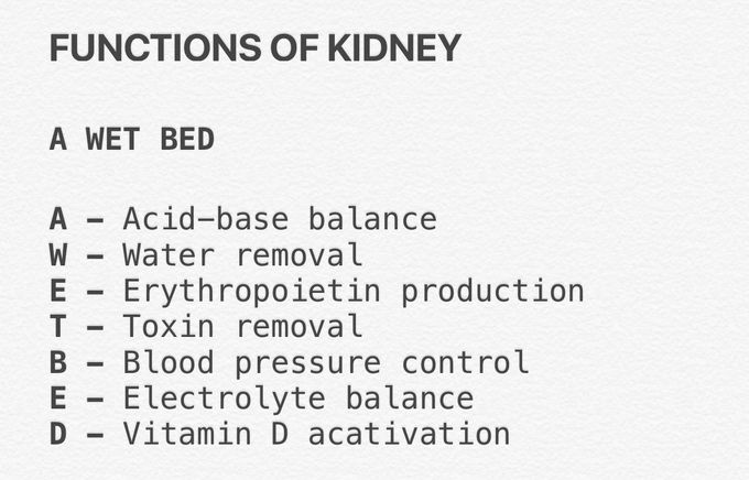 Functions of kidney