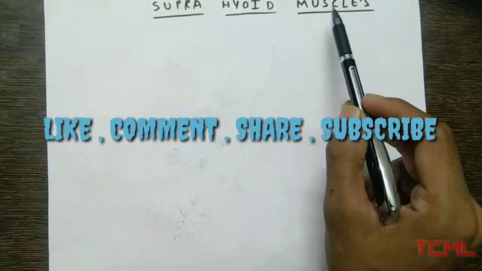 Supra hyoid muscle's and these nerve supply