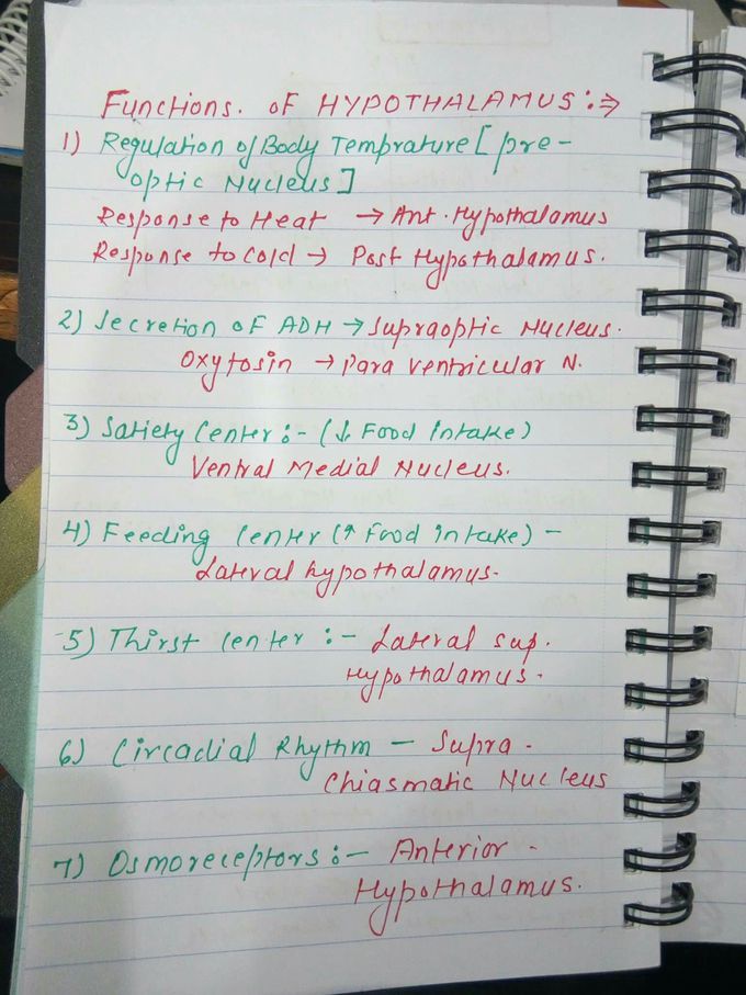 Function of hypothalamus)