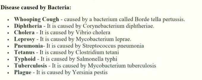 Some bacterial diseases