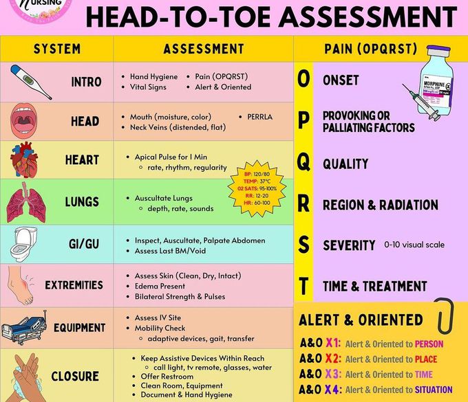 Head to Toe Assessment