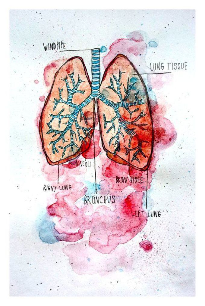 Respiratory system