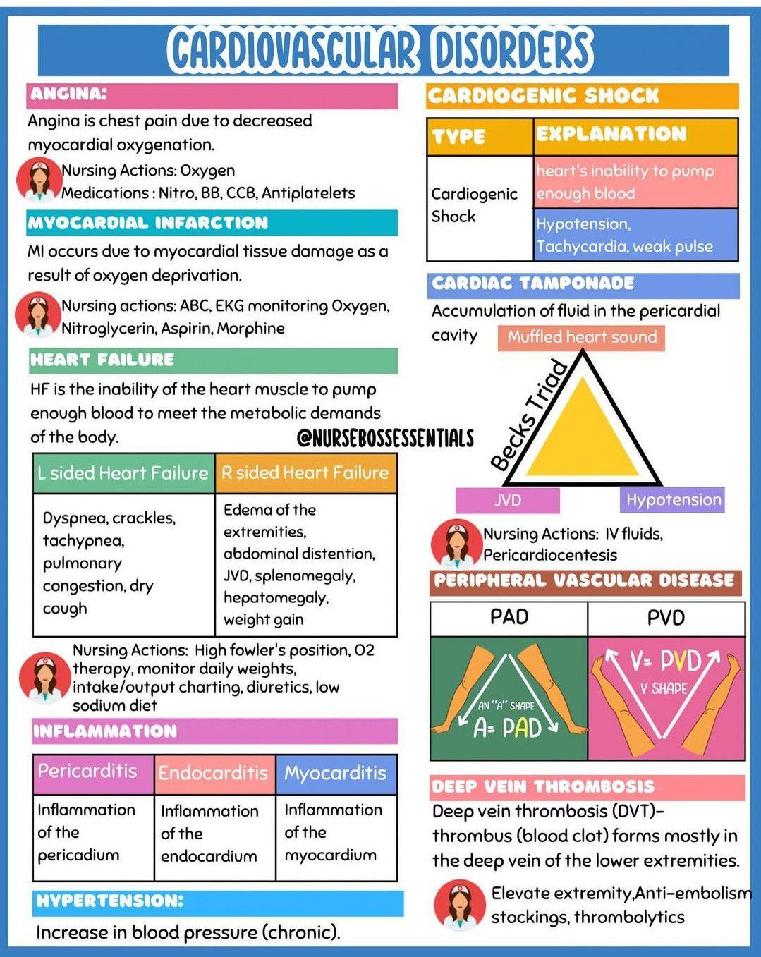 Cardiovascular Disorders - MEDizzy