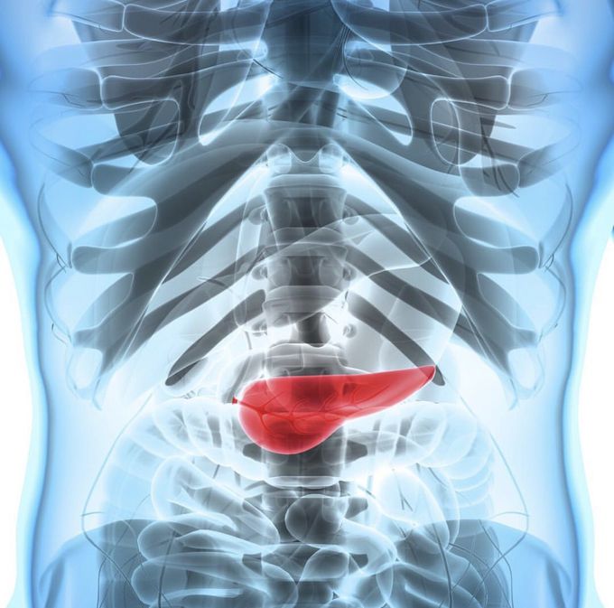 Pancreatic Cancer