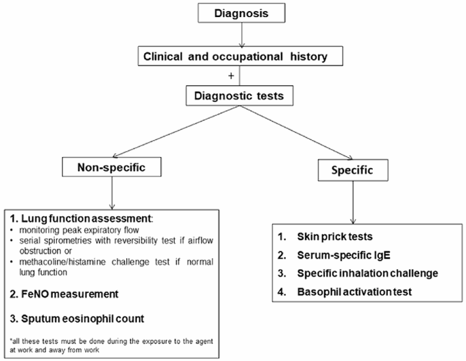 Diagnosis of asthma