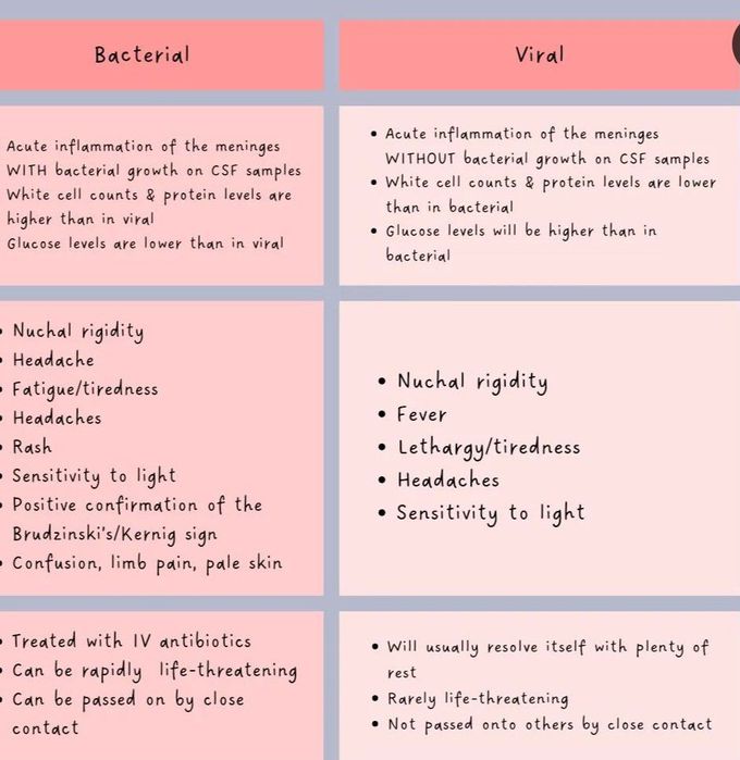 Bacterial Vs Viral Meningitis