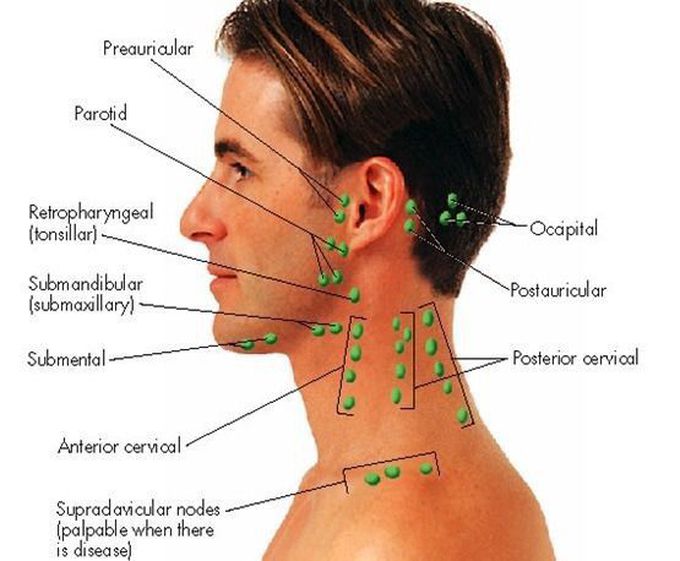 back of neck lymph nodes