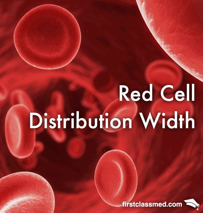 Red Cell Distribution Width - Size Does Matter