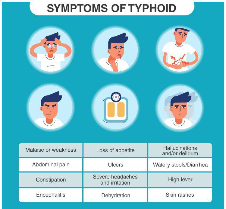 Symptons of typhoid.