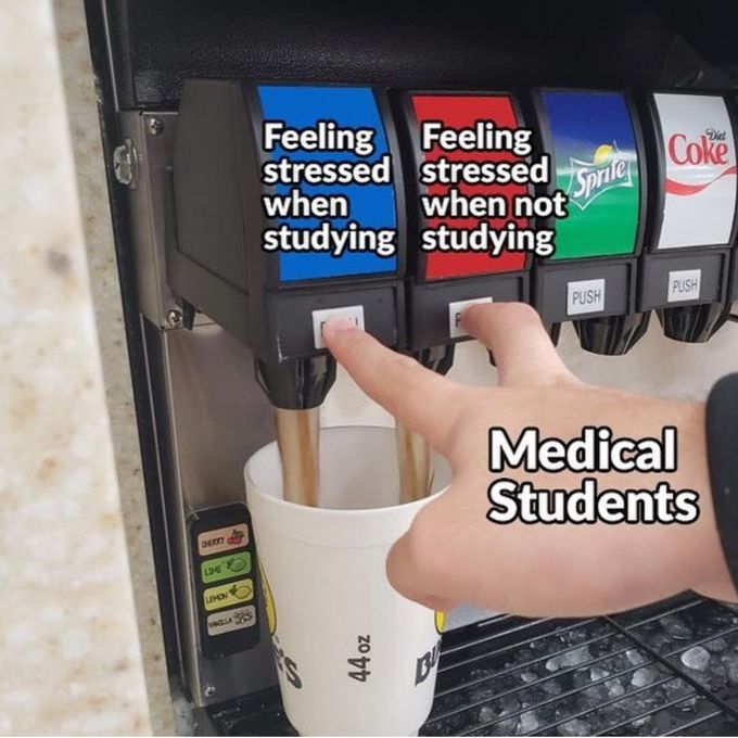 Medical student 👨🏻‍⚕️👩‍⚕️