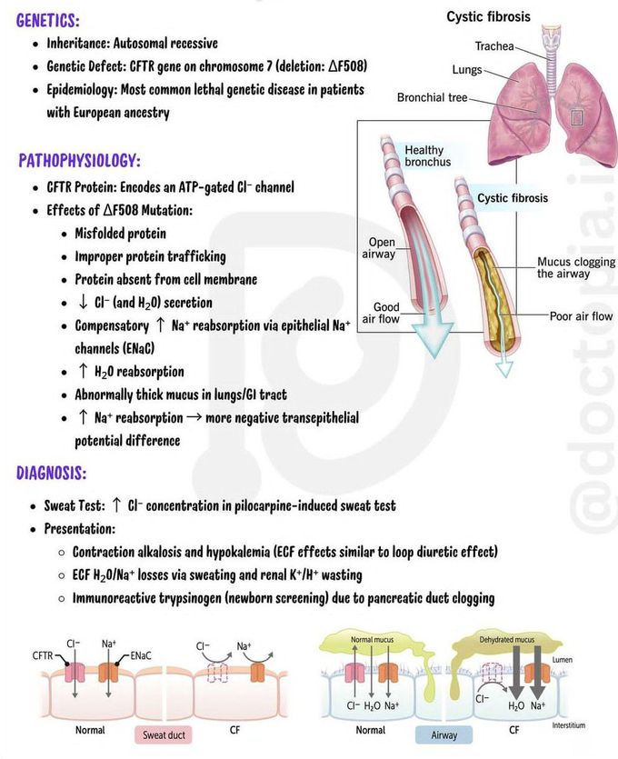 Cystic Fibrosis I