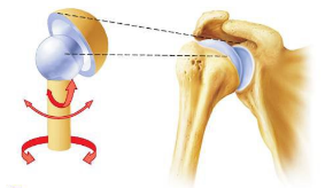 Ball-and-socket joint