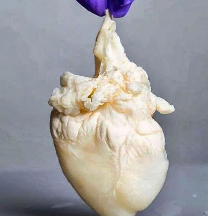 Ghost heart