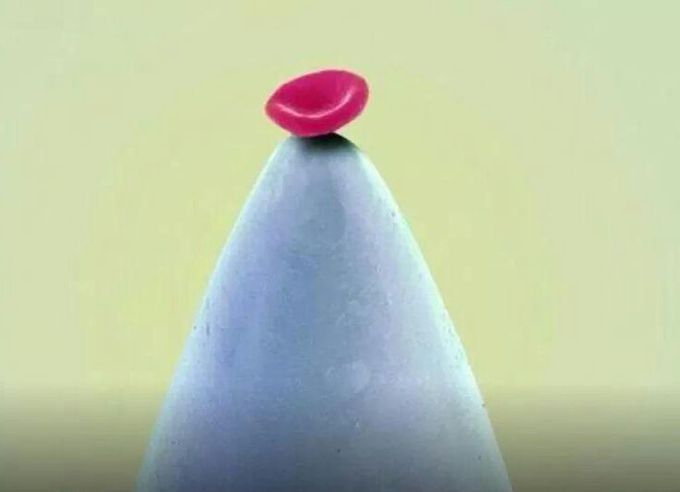 Awesome scanning electron micrograph of a single red blood on the tip of a needle.