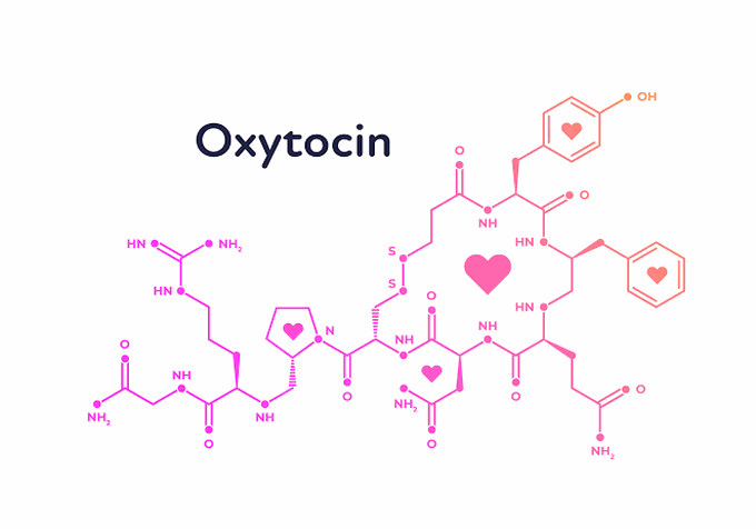 Oxytocin