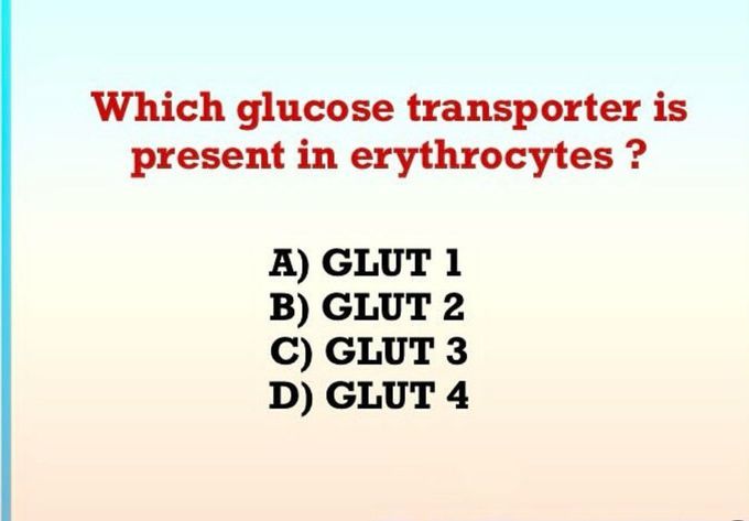 Glucose Transporter